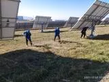 国网张家口项目
